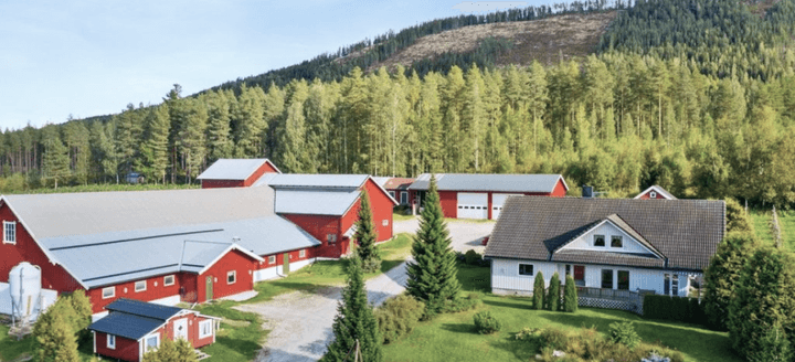 Et flyfoto av et gårdsbruk om sommeren.